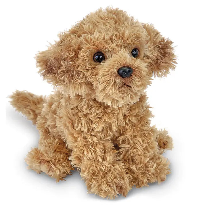 Doodles the Labradoodle image 0