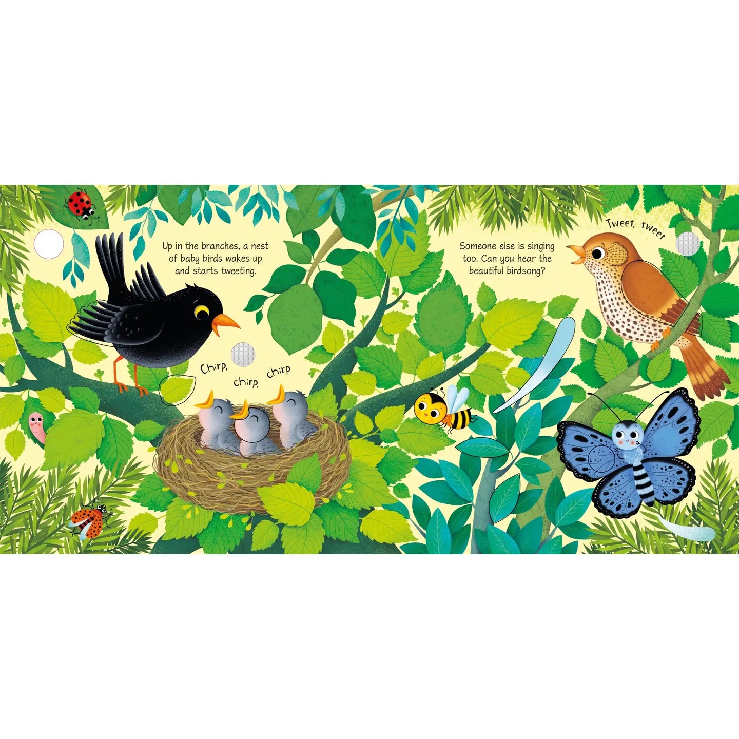 Bird Sounds | Interactive Sound Board Book