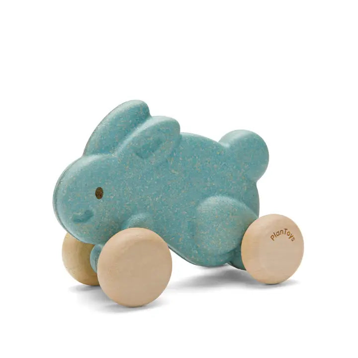 Push Along Bunny image 0