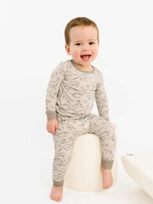 Dino Doodles Toddler Bamboo L/S Set