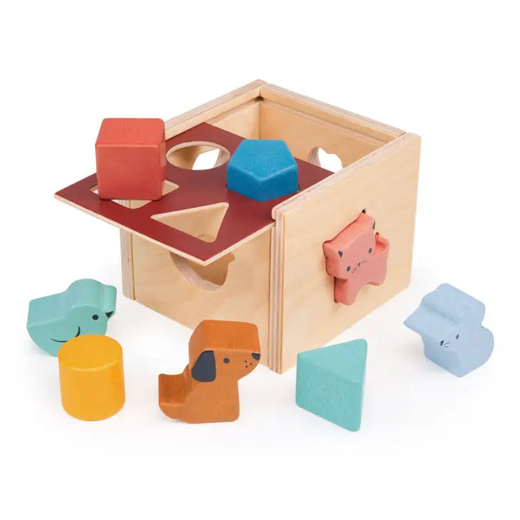 Bambino Shape Sorting Cube image 1