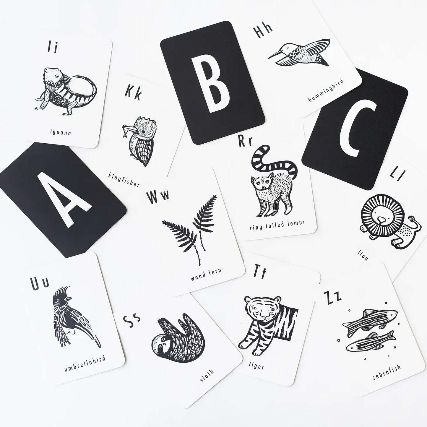 Jungle Alphabet Cards image 3