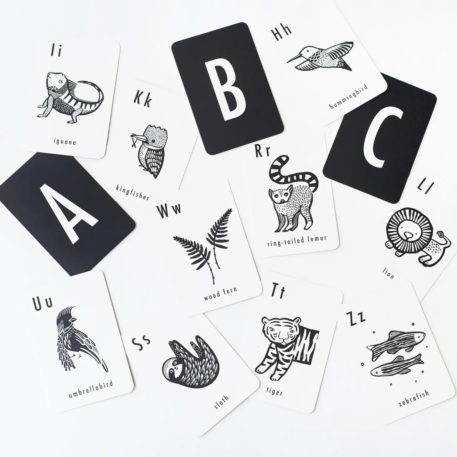 Jungle Alphabet Cards image 3