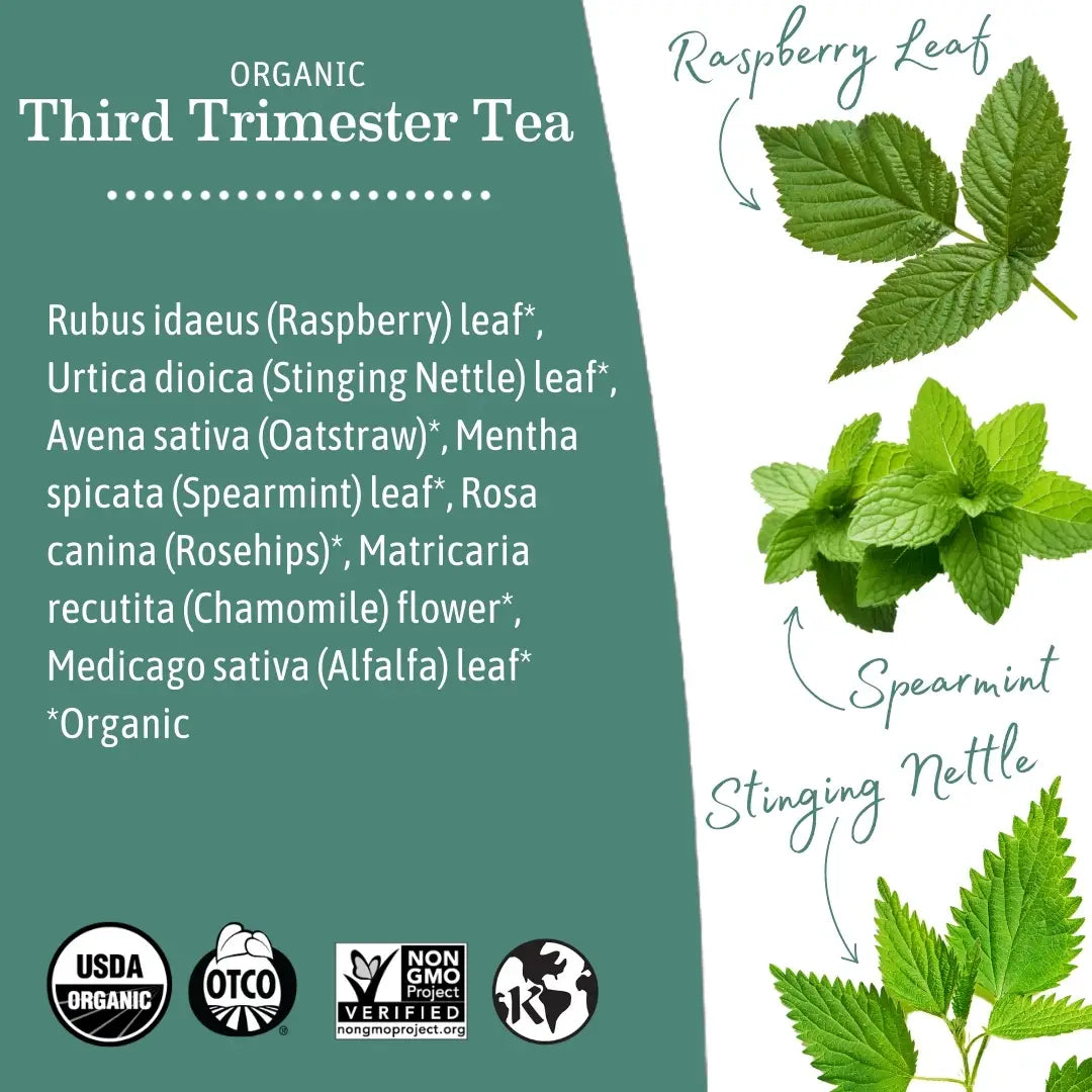 Earth Mama Organic Third Trimester Tea | Mineral-Rich Pregnancy Support