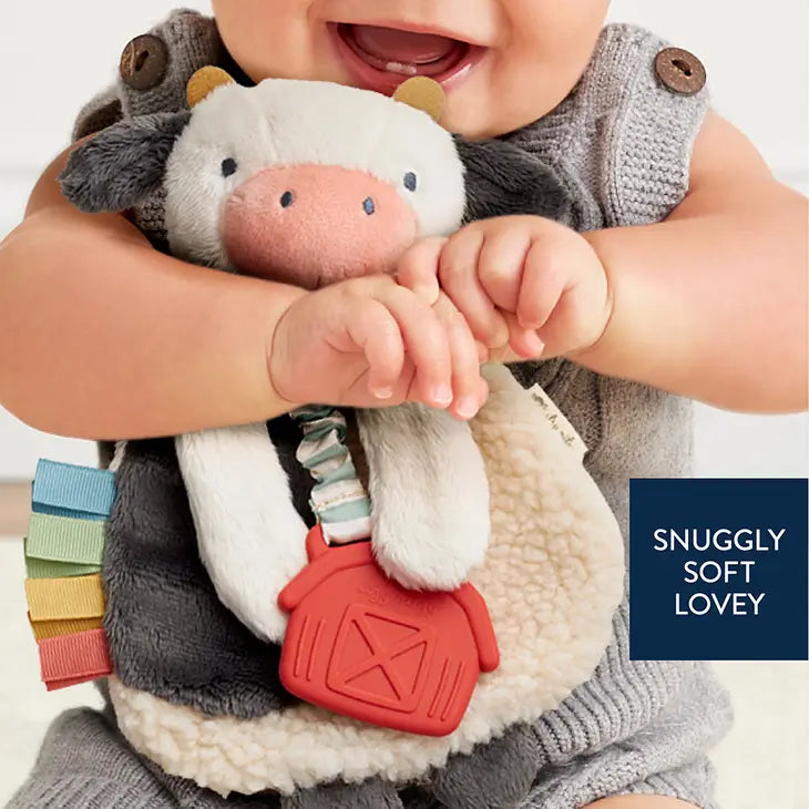 Itzy Friends Lovey™ Plush image 0