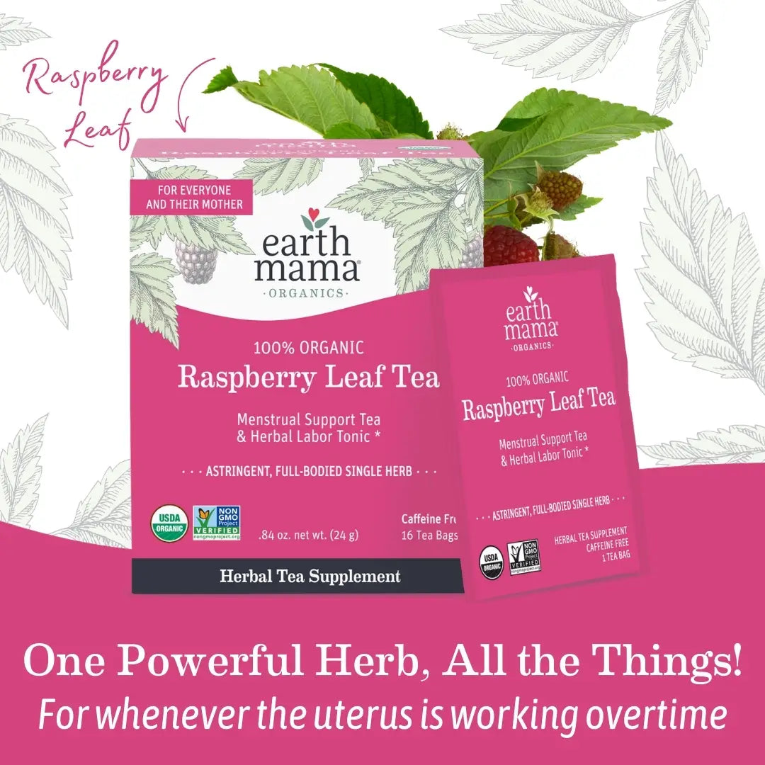 Earth Mama Organic Raspberry Leaf Tea | Traditional Herb for Pregnancy & Postpartum