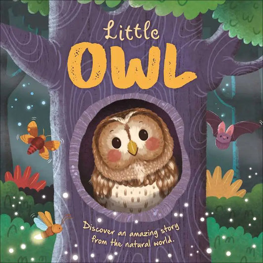 Little Owl | Board Book