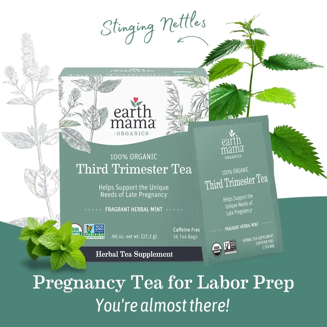 Earth Mama Organic Third Trimester Tea | Mineral-Rich Pregnancy Support
