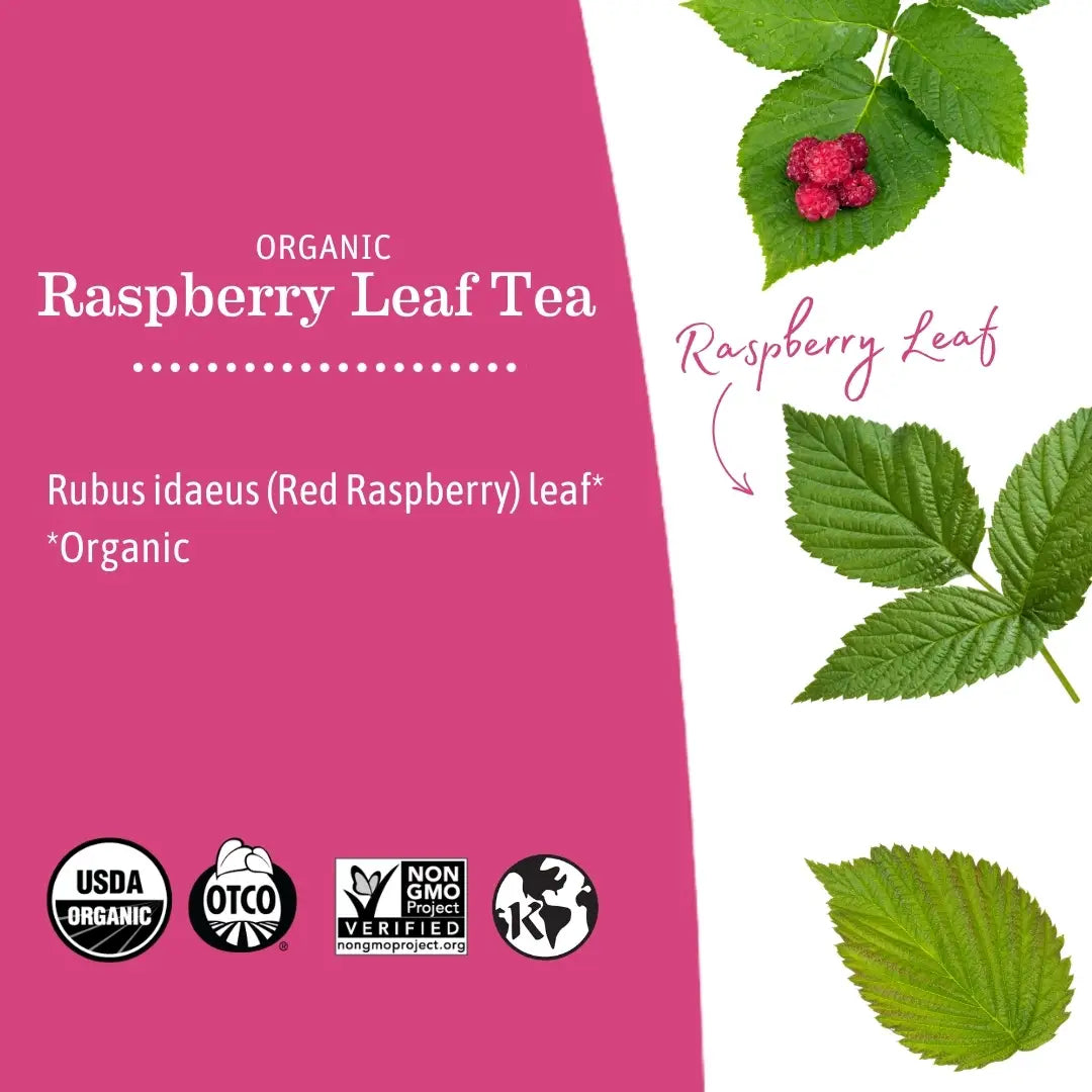 Earth Mama Organic Raspberry Leaf Tea | Traditional Herb for Pregnancy & Postpartum