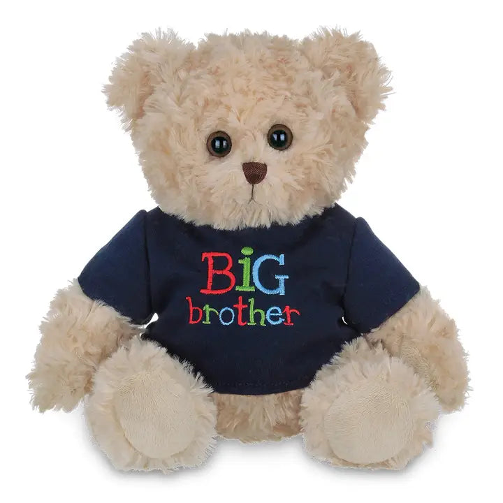 Big Buddy Big Brother Bear image 0