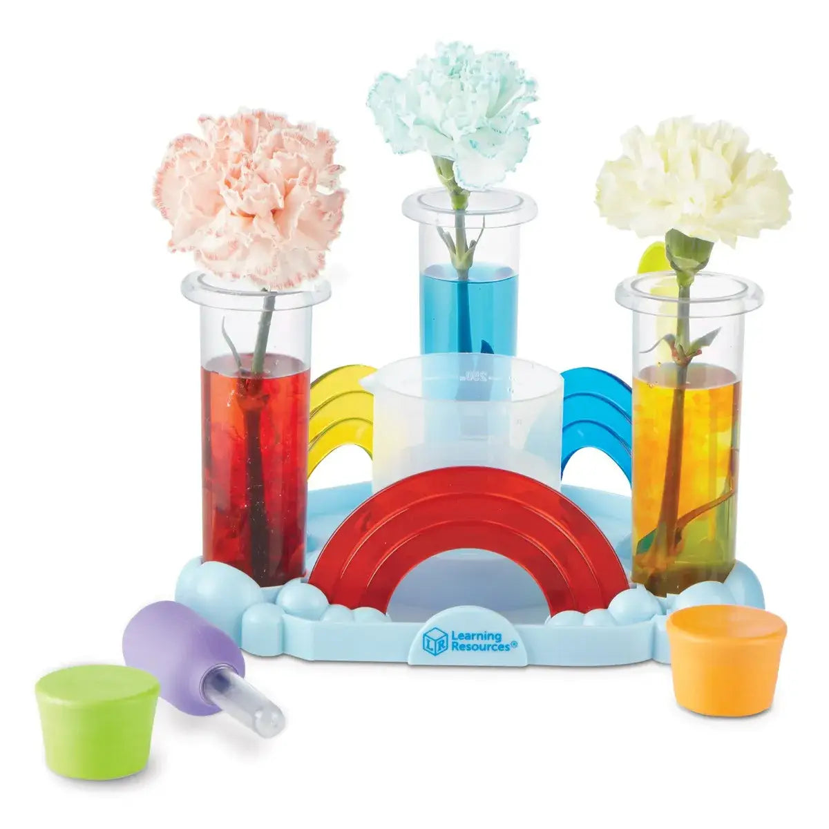 Rainbow Reactions Preschool Science Lab