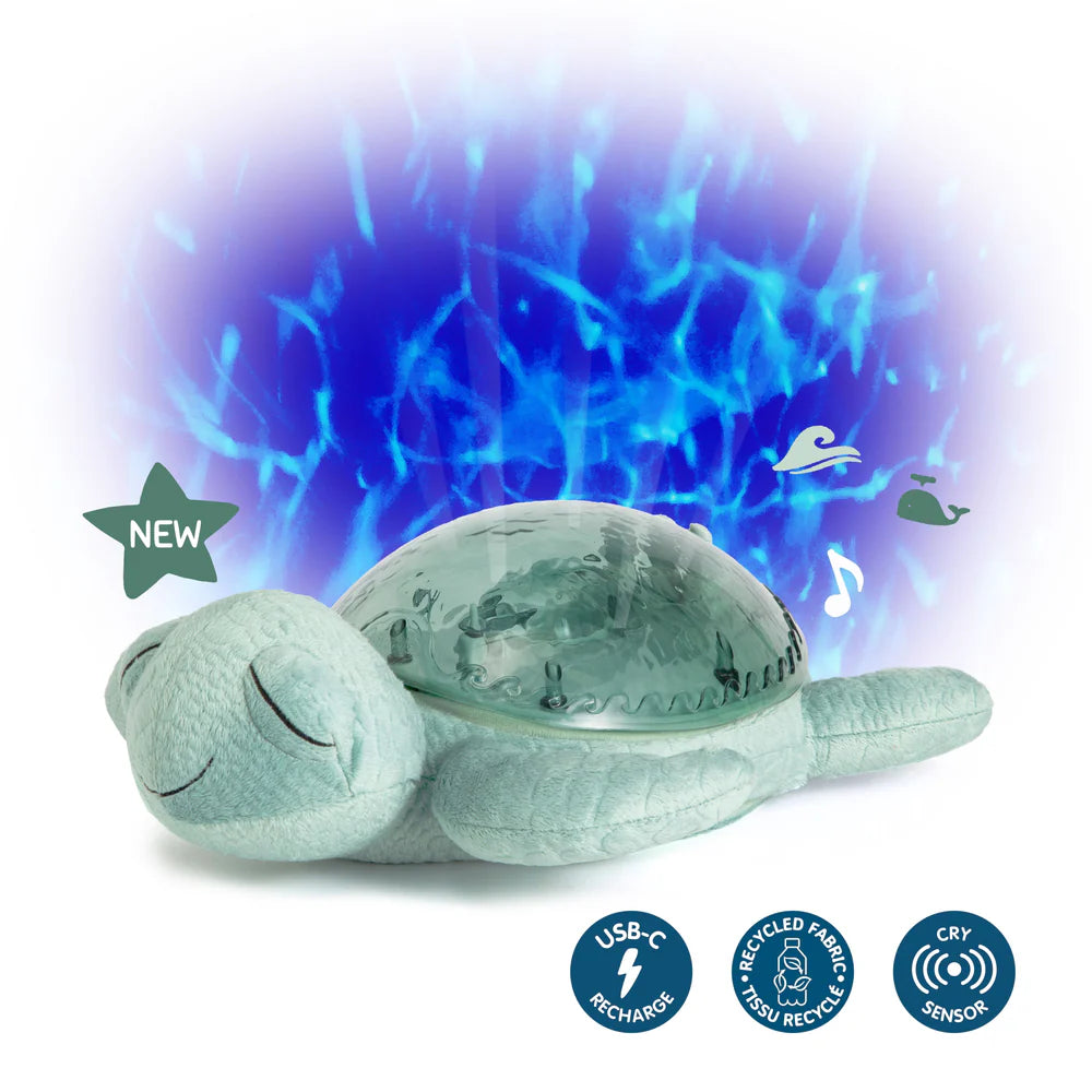 Tranquil Turtle | Green
