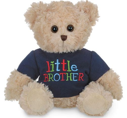 Lil' Buddy Little Brother Bear