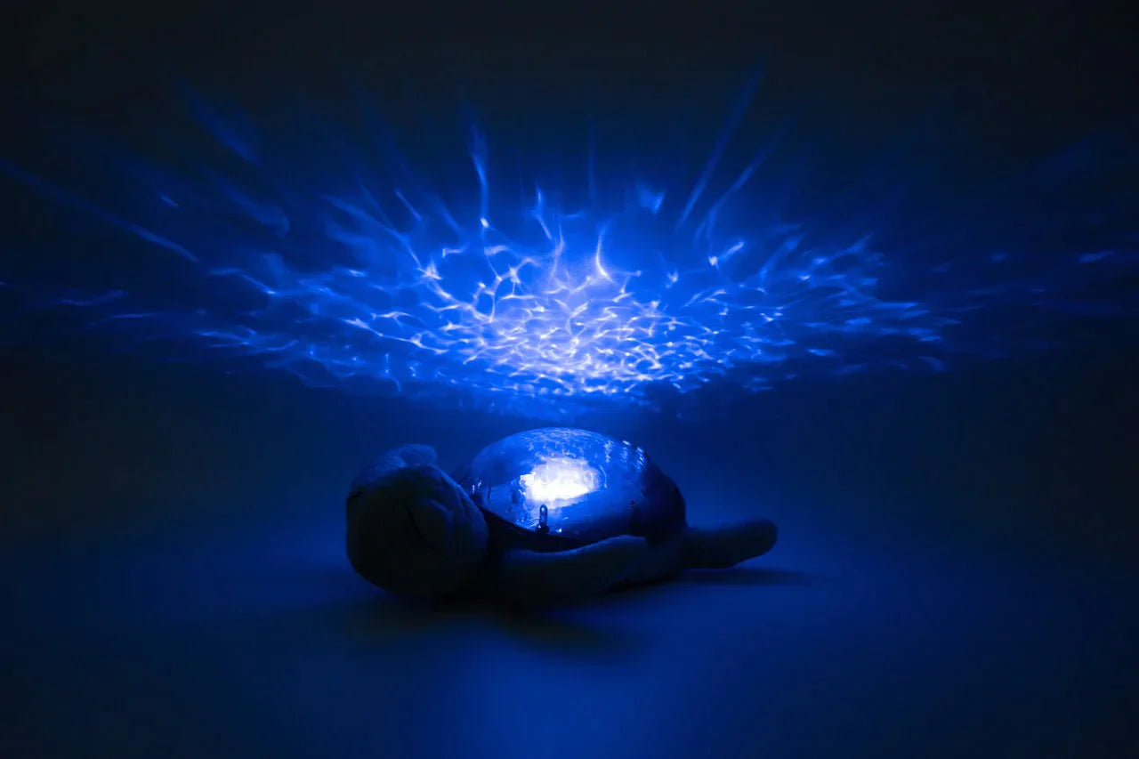 Tranquil Turtle Rechargeable - Nightlight & Sound Machine image 1