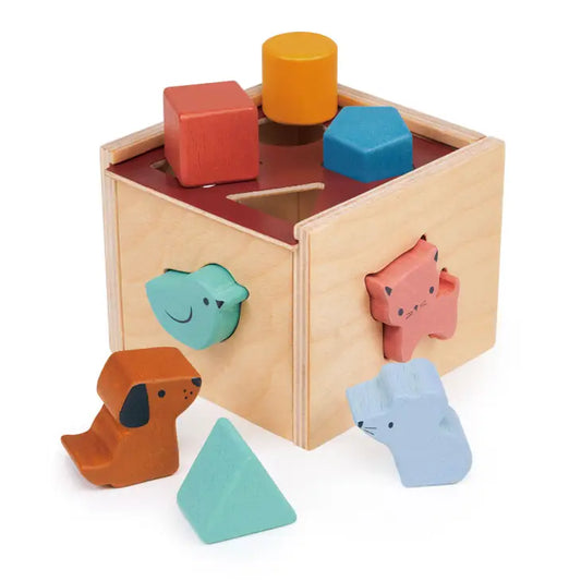 Bambino Shape Sorting Cube image 0
