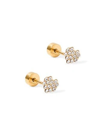 Linny Co Screw Back Stud Earrings
