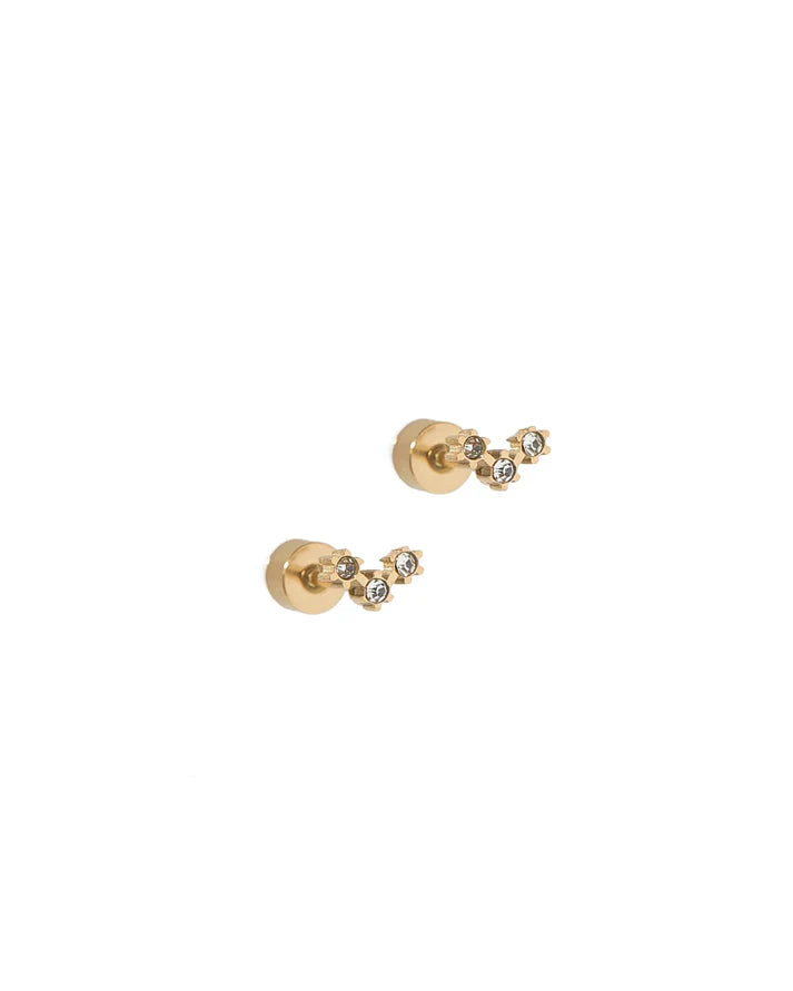 Linny Co Screw Back Stud Earrings
